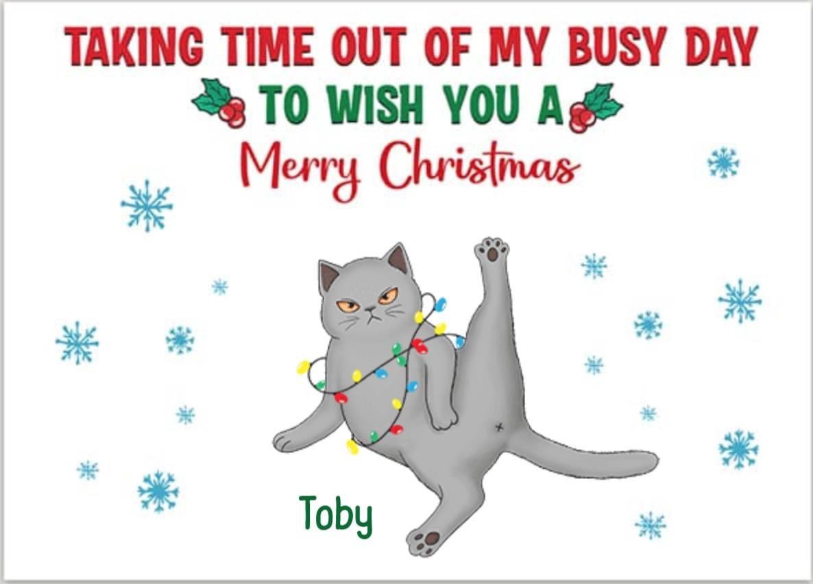 Kurt Johns (@kurttjohns) on Twitter photo 