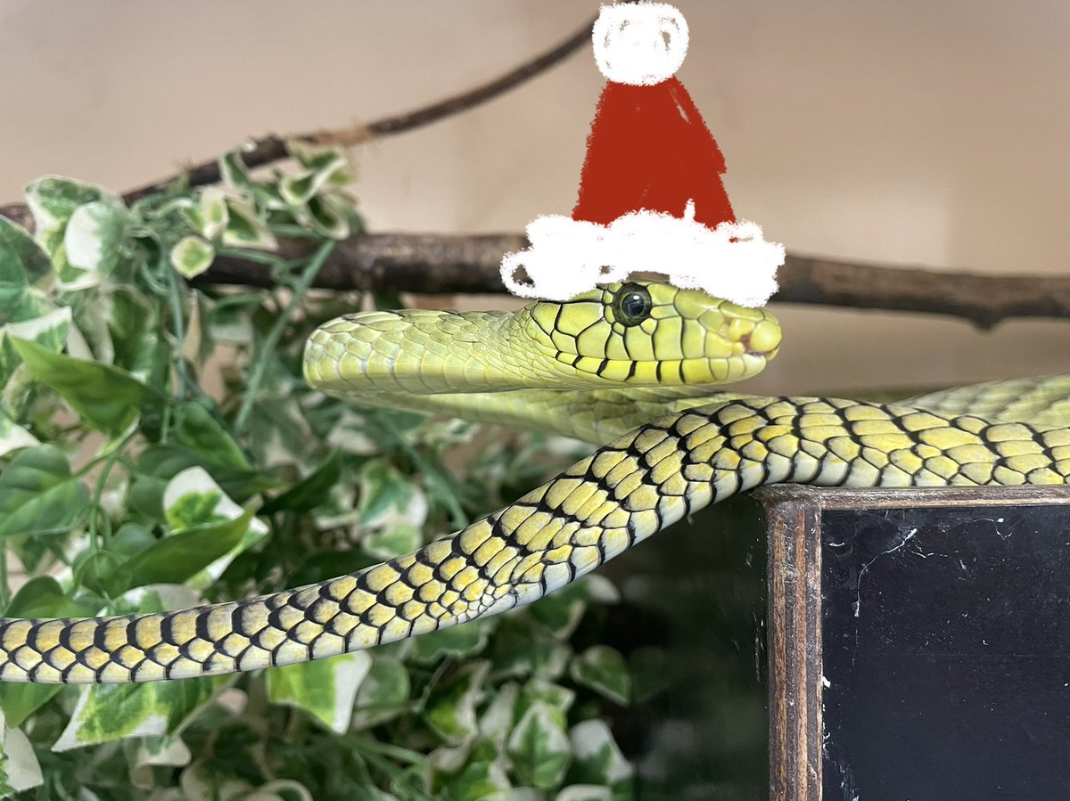 Merry Christmas and Happy Holidays from all of us here at the CSRI! 🎄