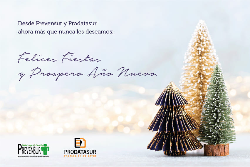 Prevensur's tweet photo. 🎄Desde Prevensur y Prodatasur ahora más que nunca, les deseamos Felices Fiestas y Próspero Año Nuevo.

#Prevensur #Prodatasur #FelicesFiestas https://t.co/mL46suCHUs
