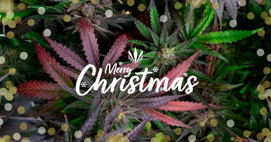 VytalOptions's tweet photo. Merry Christmas from the Vytal team! 🎄 We hope everyone has a great holiday. 🎁 
Please remember, all of our locations are closed today.

*nothing for sale*
*for educational purposes only* https://t.co/ssEqjMRhYz