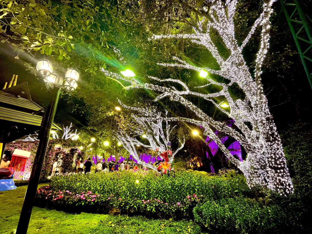 Merry Christmas 🎄🎁 ~