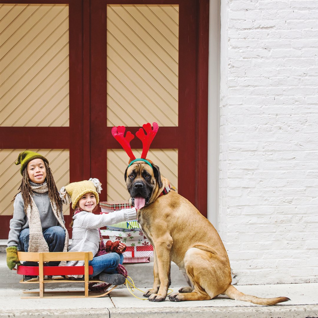 We wish you a happy and healthy holiday!