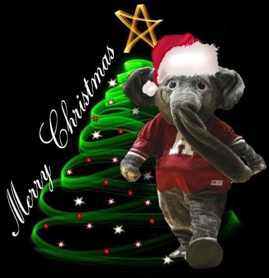 JaxBamaClub's tweet photo. Merry Christmas and Roll Tide! 🌲 🤶 🎅 https://t.co/uVdzCDMXW5