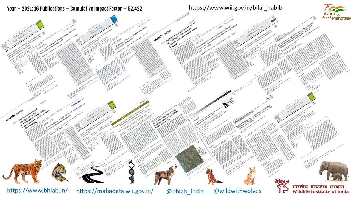 bhlab_india's tweet photo. A year of unprecedented challenges, #dose1 & #dose2, lock & unlock, a year to remember. @bhlab_india it was the year of challenges and opportunities. Here we are with the list of publications. It would not have been possible without my students #hardwork #Santa
@wiiofficial1 https://t.co/S4cxTRC0Wd