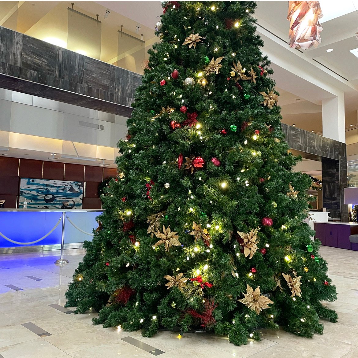 Merry Christmas from our home to yours. May it be filled with peace, love and joy. 🎄