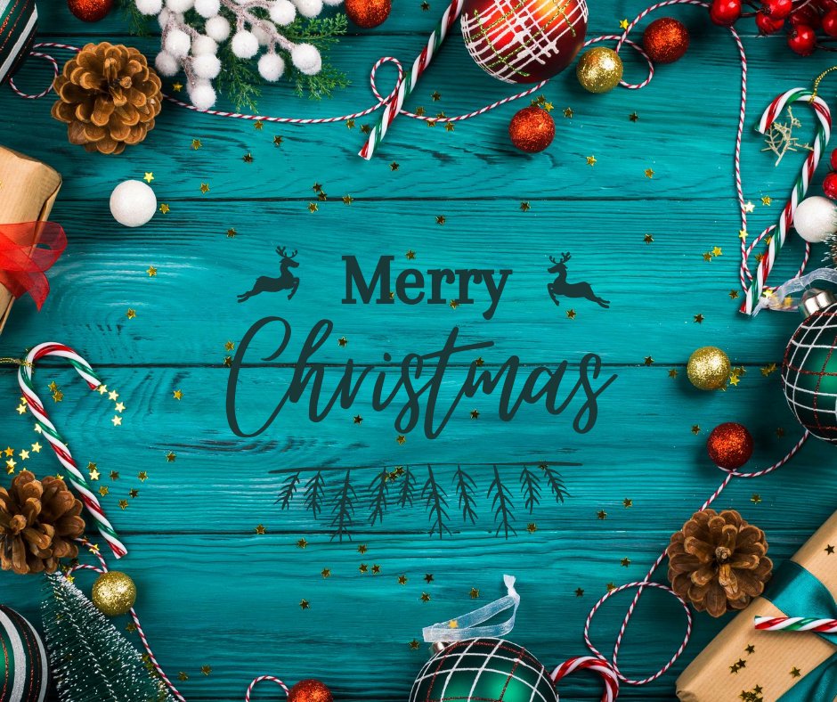 Wishing you and your family a very Merry Christmas!