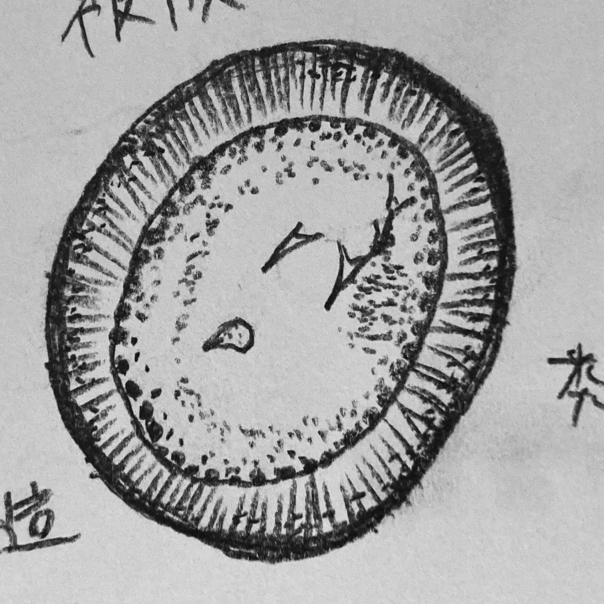 これは授業で描いたスケッチ 