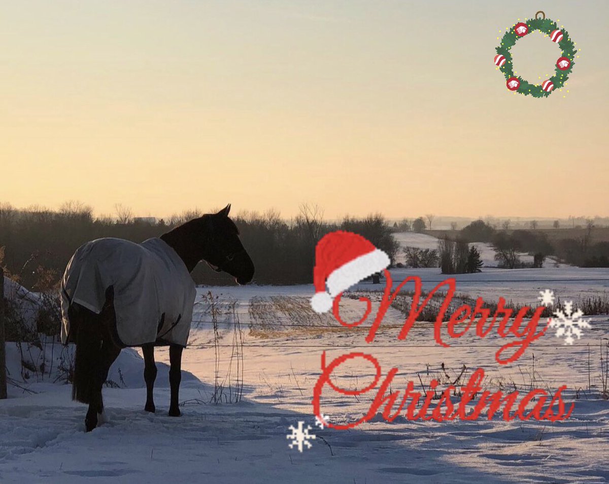 StonePathExplo1's tweet image. Merry Christmas, Beautiful Friends 🤶🏻🎄🎅🏻