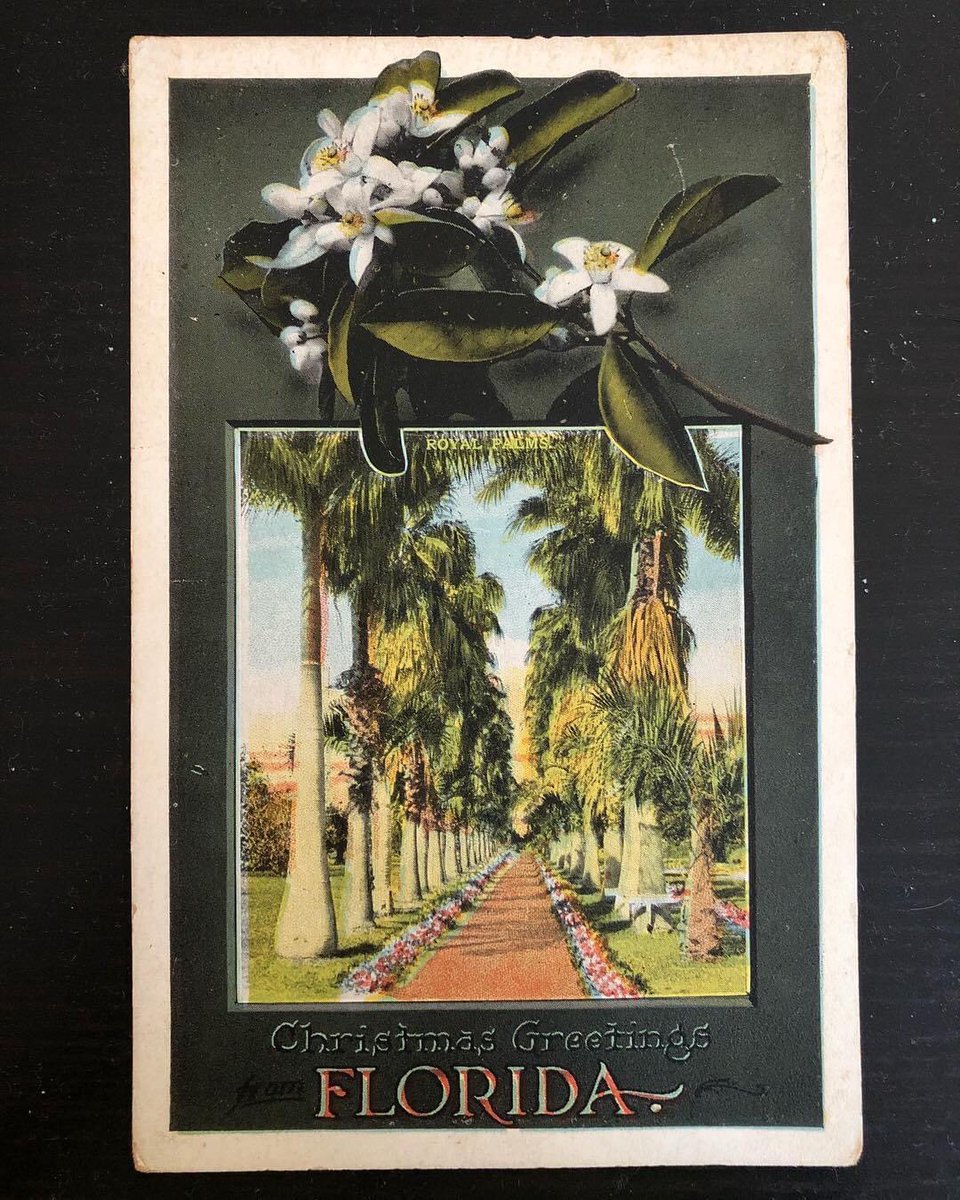 Merry Christmas from our family to yours!