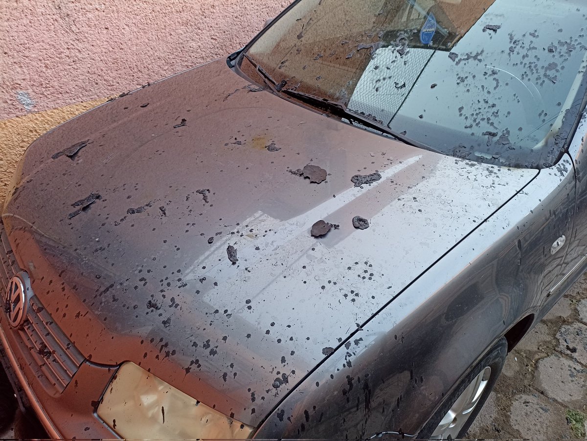 juankha1973's tweet photo. @SSPMQueretaro el día de ayer un vecino con su familia por hacer mal uso de la pirotecnia causó estos destrozos a mi hogar dónde puedo acudir a levantar la querella correspondiente? https://t.co/BdpuLHovZc
