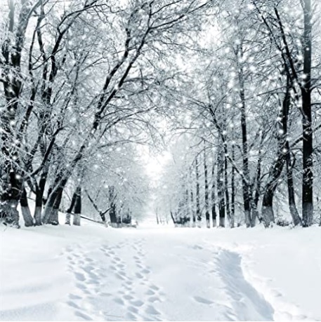 Robert Lanza, MD tweet media