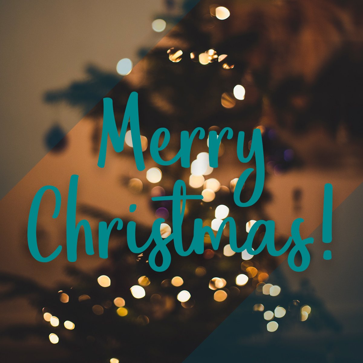 Accessible Hope International tweet media