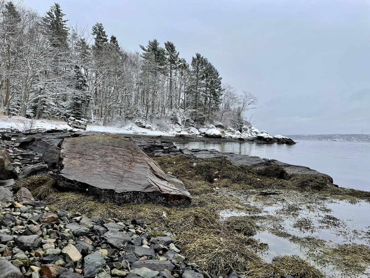 Happy holidays from team #seachange!