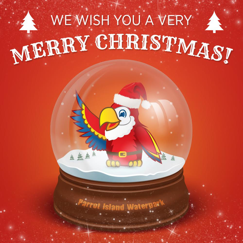 Parrot Island (@parrotislandwp) on Twitter photo 