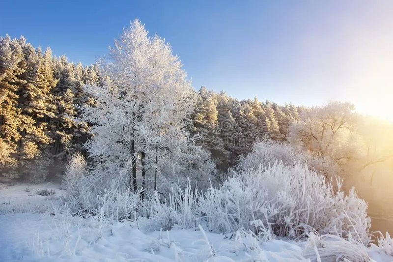THEANTHEMGIRL's tweet photo. "It is Christmas in the heart that puts Christmas in the air." - W. T. Ellis https://t.co/aTbDyB805K