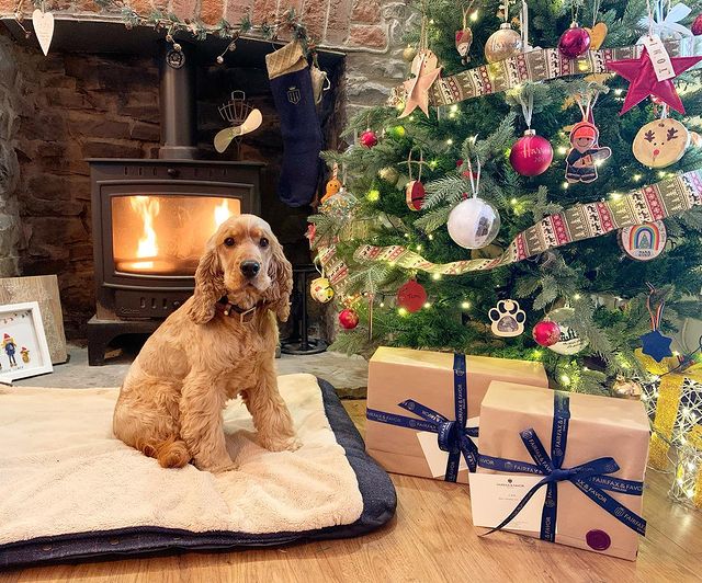 FairfaxFavor's tweet photo. How many #blueboxes did you receive under your tree this year?👀
📸: Keelly_morgan

Shop now --> https://t.co/hU3BcDQS8D https://t.co/nr1QmHhEvp