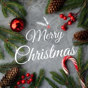 LDAWE1's tweet photo. From our family to yours we wish you a Merry Christmas to all those celebrating today. Peace and joy to you and yours this Holiday season. #MerryChristmas #HappyHolidays #LDAWEcommunity https://t.co/RZ8Lw6ri7v