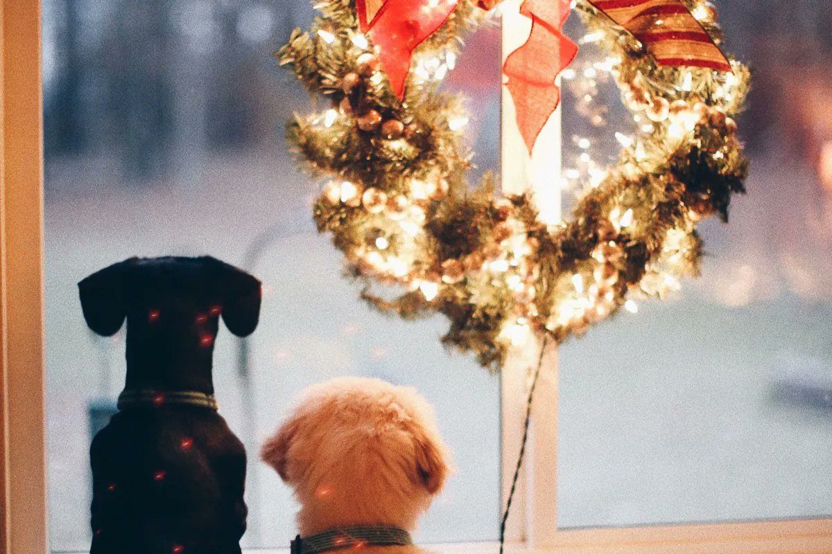 WildonerLaw's tweet photo. Merry Christmas from the team at Wildoner Law, PLLC! https://t.co/LvpDO690Gx