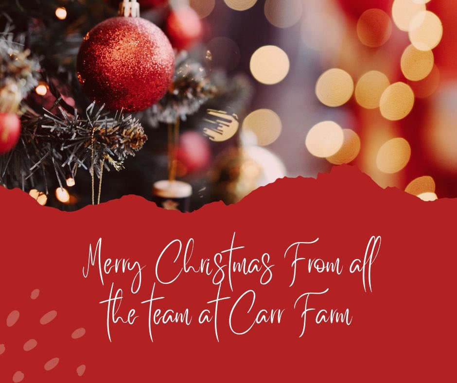 CarrFarm1982's tweet photo. Merry Christmas from all the team at Carr Farm, we hope you have the best Christmas possible and look forward to seeing you in store again soon! 🎄🎅🏼 https://t.co/3IjIermil3