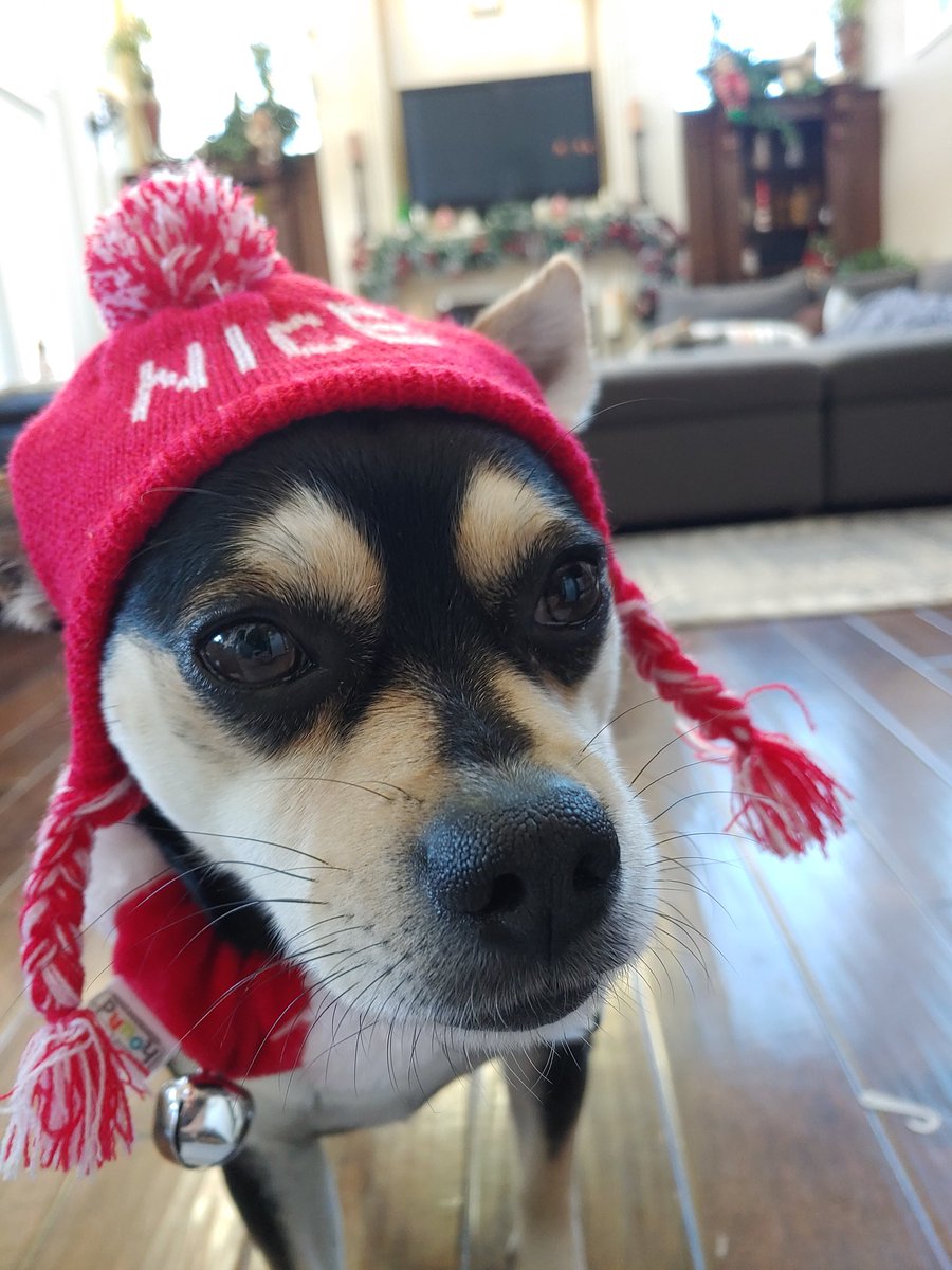 Merry christmas! 🎄