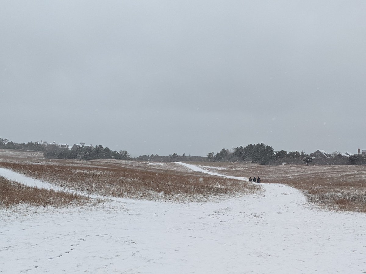 Nantucket Conservation Foundation tweet media