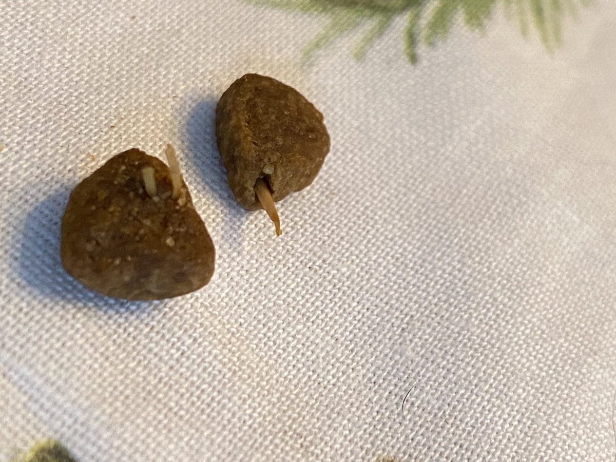 Can <a href="/bluebuffalo/">blue buffalo</a> explain these sharp bone like substances sticking out of my dog’s food? This is not safe.