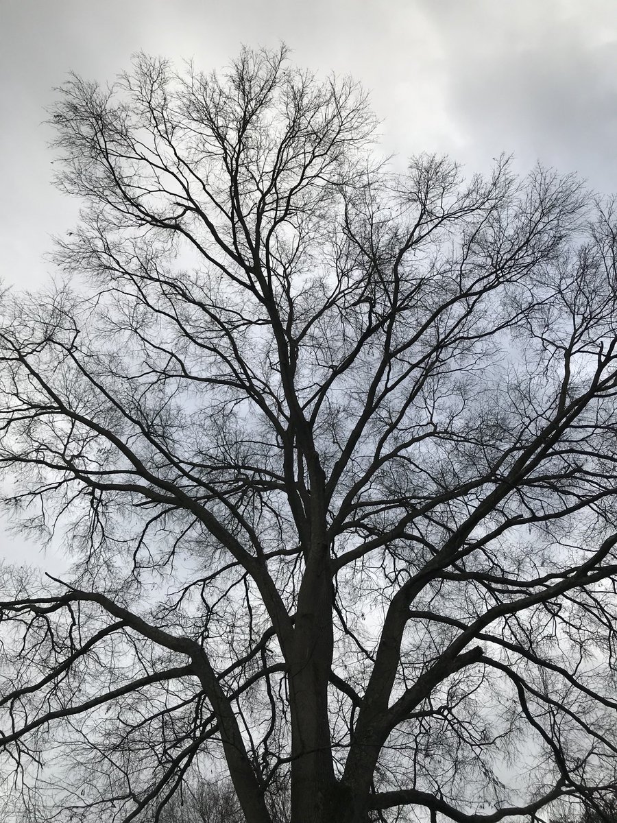 JohnnyLaird (@johnnylaird) on Twitter photo 