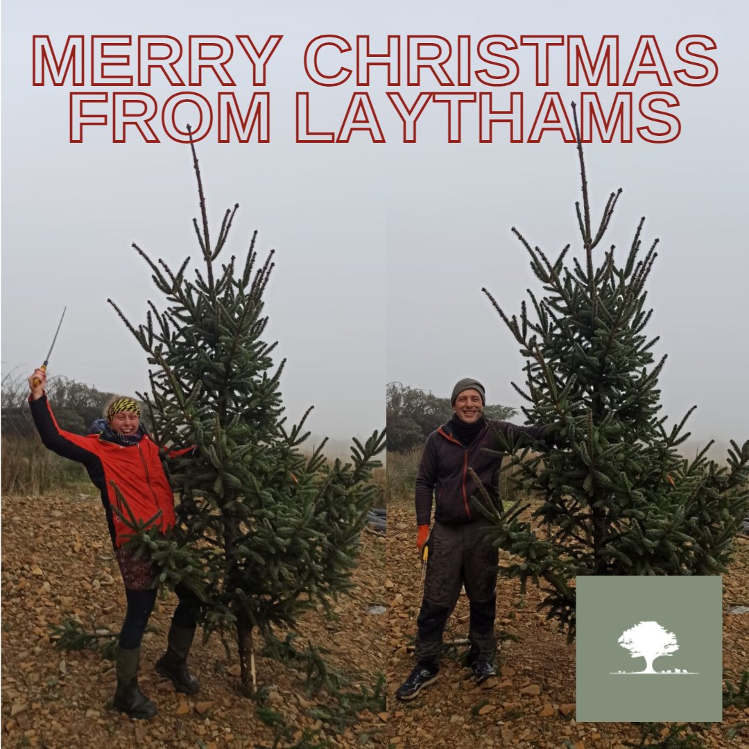 UKEscape's tweet photo. Merry Christmas from all of us at #Laythams (and our enormous tree)! We hope your day is merry and bright 🌟🎁 https://t.co/yBmhMEeB5n