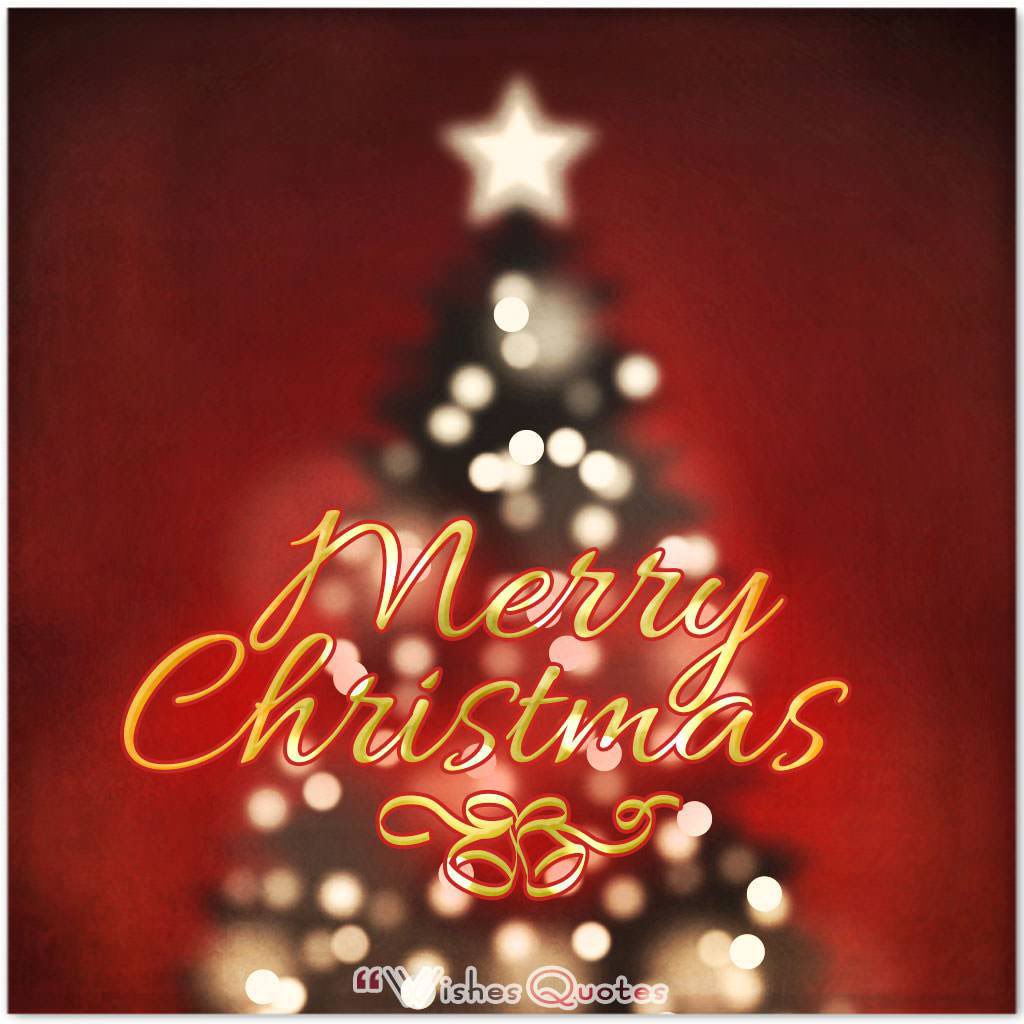 hoddle_services's tweet photo. Merry Christmas.   Hoping you, your family and friends have a great holiday together. https://t.co/ZL8OyEq41X