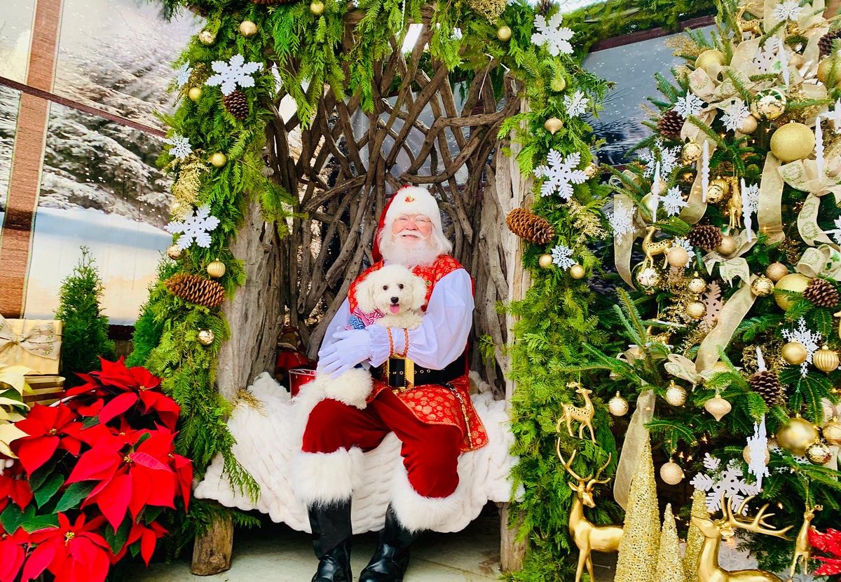 ChinhDoan's tweet photo. ๐
๐ผ We will always believe in the magic of Christmas. โจ
See last pic of Bruce Lee sweet-talking Santa. ๐ถ
Wishing you joy and peace this Christmas and 2022!
#BruceLeeDoan
#BruceTheBichon
#BichonFrise
#TulsaPets
#OklahomaPets
#Christmas2021
#PicturesWithSanta
#DogsAndSanta https://t.co/O3tCklUxY2