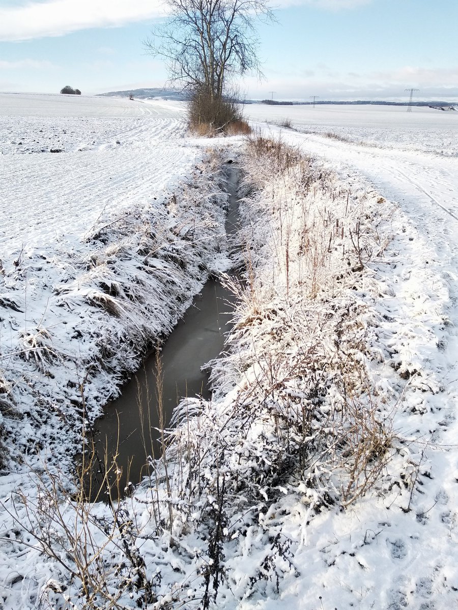 ezoderwitz's tweet photo. Kopf_frei-Wohlfühl-Spaziergang #drheeme #Dreiländerherz #Winterkinder https://t.co/YKID53W4AI