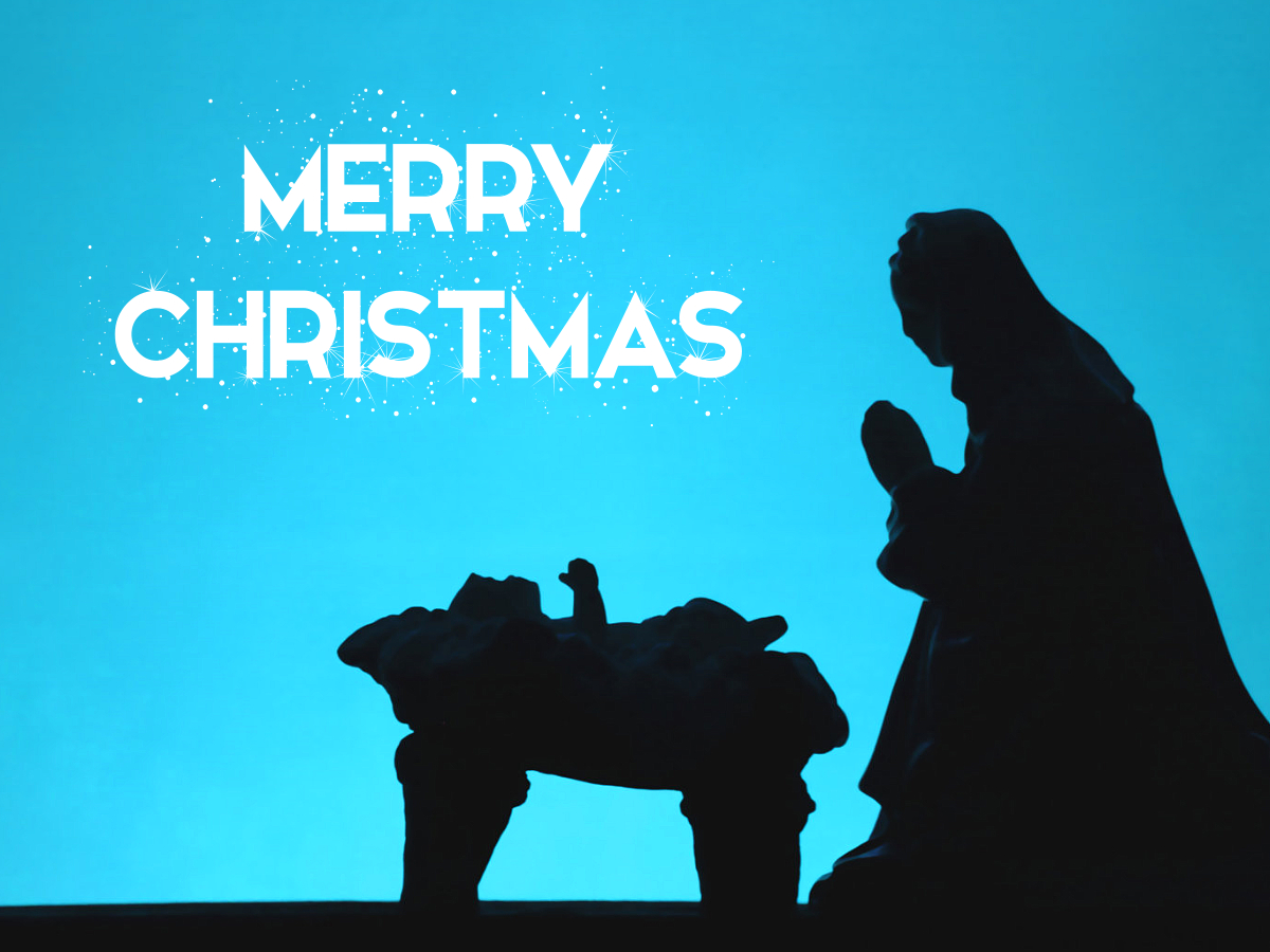 MishayBingham's tweet photo. It`s the most wonderful time of the year! #Christmas #Noel https://t.co/SlnOtXMf3o