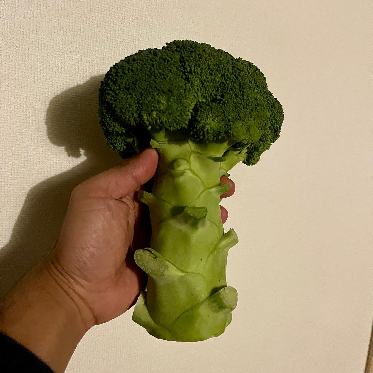 Twitter 上的 料理家 きじまりゅうた 茎が太いブロッコリーを探す日々 足だけ太いって大型犬の子犬みたいでカワイイ ってもうどうかしてます笑 今回なかなかぶっとい子がいたので いつもの ブロ漬け の切り方を縦切りに変えてみました これヤバいわ