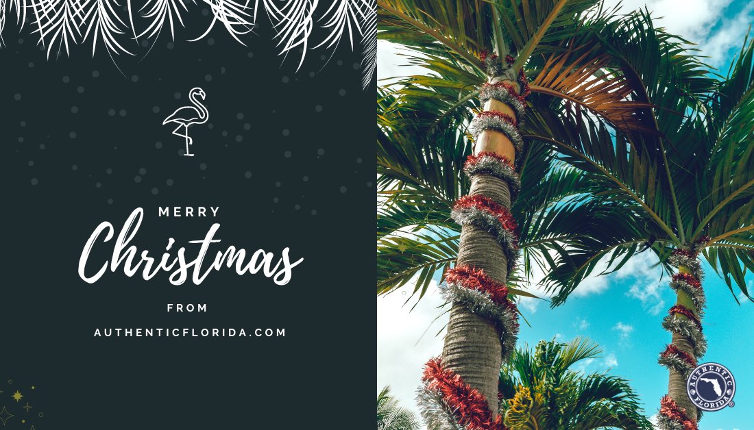 AuthenticFL's tweet photo. Merry Christmas, #AuthenticFloridians! 🎄🎅🏼

Have a happy and safe holiday from all of us at Authentic Florida! 🎁

#Christmas #MerryChristmas #AuthenticFlorida #LoveFL

Visit https://t.co/DCH1a0dqpr https://t.co/QWhr42P1sQ