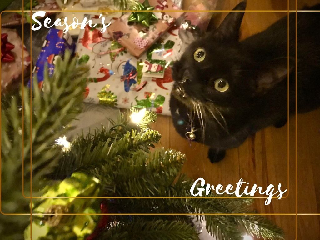 SVADigitalPhoto's tweet photo. From all of us in the MPS Digital Photo department (and Sara's cat Petal!), we hope you have a wonderful holiday season and a happy new year!
#happyholidays #heresto2022 #MPSDP #SVA #catsofinstagram https://t.co/LL9jgVQ8Gf