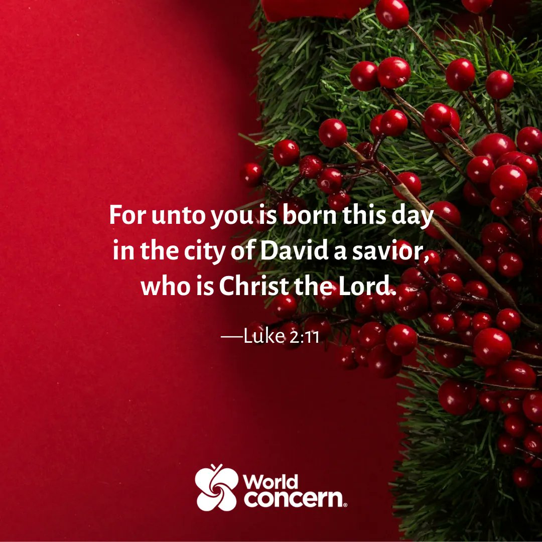 World Concern For Unto You Is Born This Day In The City Of Dave A Savior Who Is Christ The Lord Luke 2 11 From All Of Us Here At World World Concern For Unto You Is Born This Day In The City Of Dave A Savior Who Is Christ The Lord Luke 2 11 From All Of Us Here At World