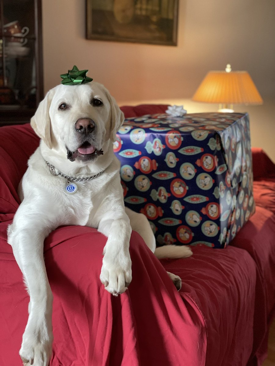 SlamboBambo's tweet photo. Mom said I’m the greatest gift of all https://t.co/bouiamXIgr