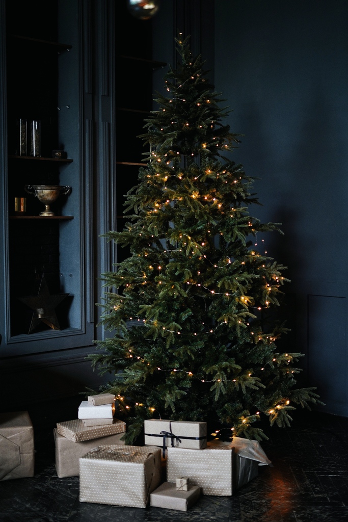 CarterhaughLLC's tweet photo. Happy Holidays everyone! Wishing you all a wonderful and magical day! β¨
#carterhaughschool #holidays #aggressivelyfestive #christmastree #fairytalechristmas #happyholidays #festivetree #magical #holidaydecor https://t.co/zCqdr7L2Sa
