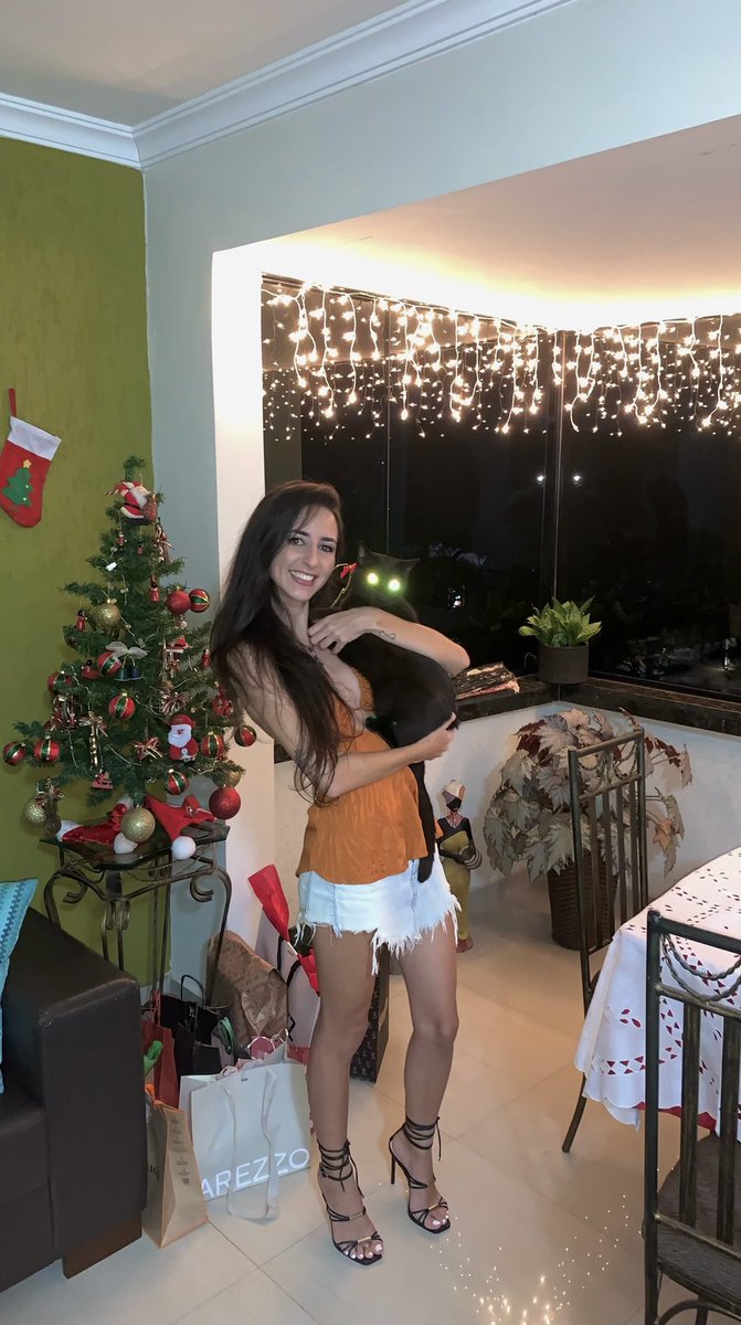 #FelizNatal #MerryChristmas #gato