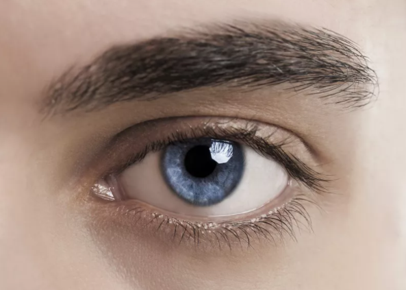 UshaDiamonds's tweet photo. The eyelid also has great reflexes, which are automatic body responses, that protect the eye. When you step into bright light, for example, the eyelids squeeze together tightly to protect your eyes until they can adjust to the light.                    https://t.co/MjjKqMzG1P https://t.co/FNZtnnLWX8