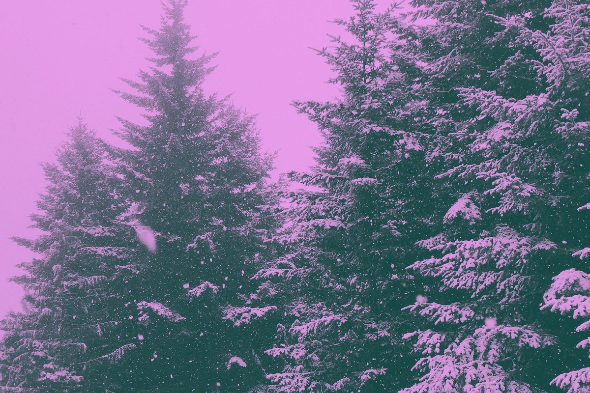 anji_eco's tweet photo. AnjiEco warmly wishes you happy holidays. Our CEO and Founder has written a personal letter and blog to reflect on the year and look to the future.

Read here:
https://t.co/uQ6xF3Fsmn https://t.co/HQRnk8Sfmz