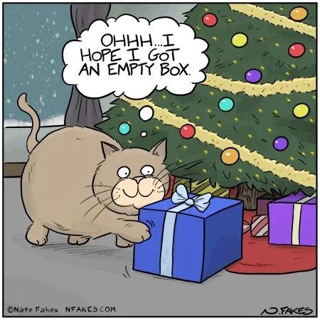 4Catsof's tweet image. From Dinky 
#CatsOnTwitter