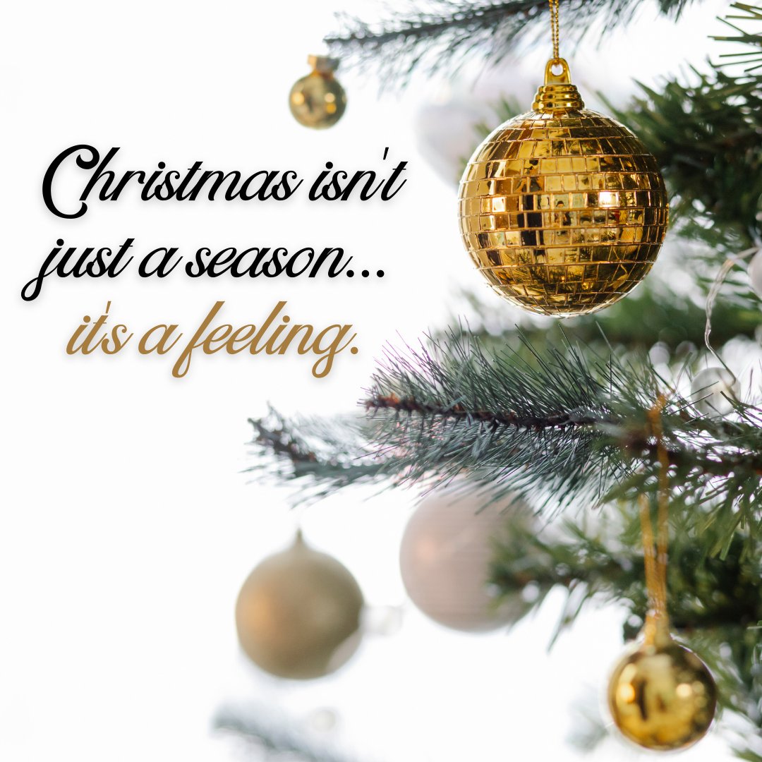 LanoixInsurance's tweet image. Wishing you happiness and joy this Christmas Day.