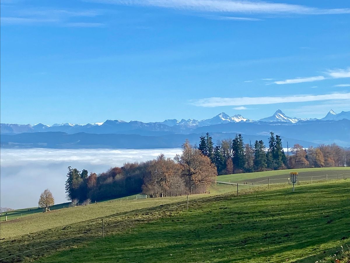 :::: Intermusic Newsletter - Aufmunternde News für die frohen Festtage :::: - mailchi.mp/intermusic.ch/… Wir setzen auf 4G+ Der einzige Weg aus der Krise...