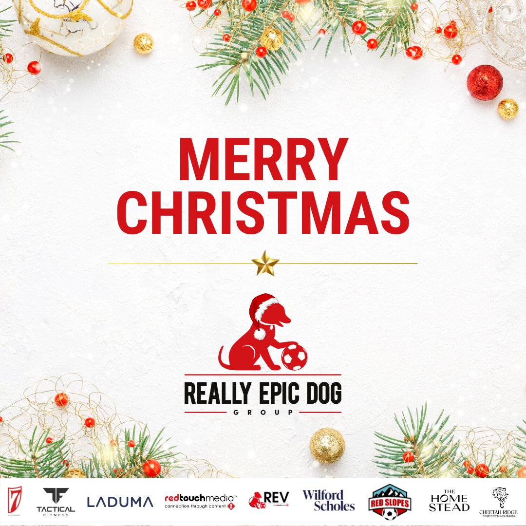 We want to wish you a Merry Christmas from the Really Epic Dog Group! 🎅

We hope you enjoy wonderful festivities with family and friends filled with joy🎄