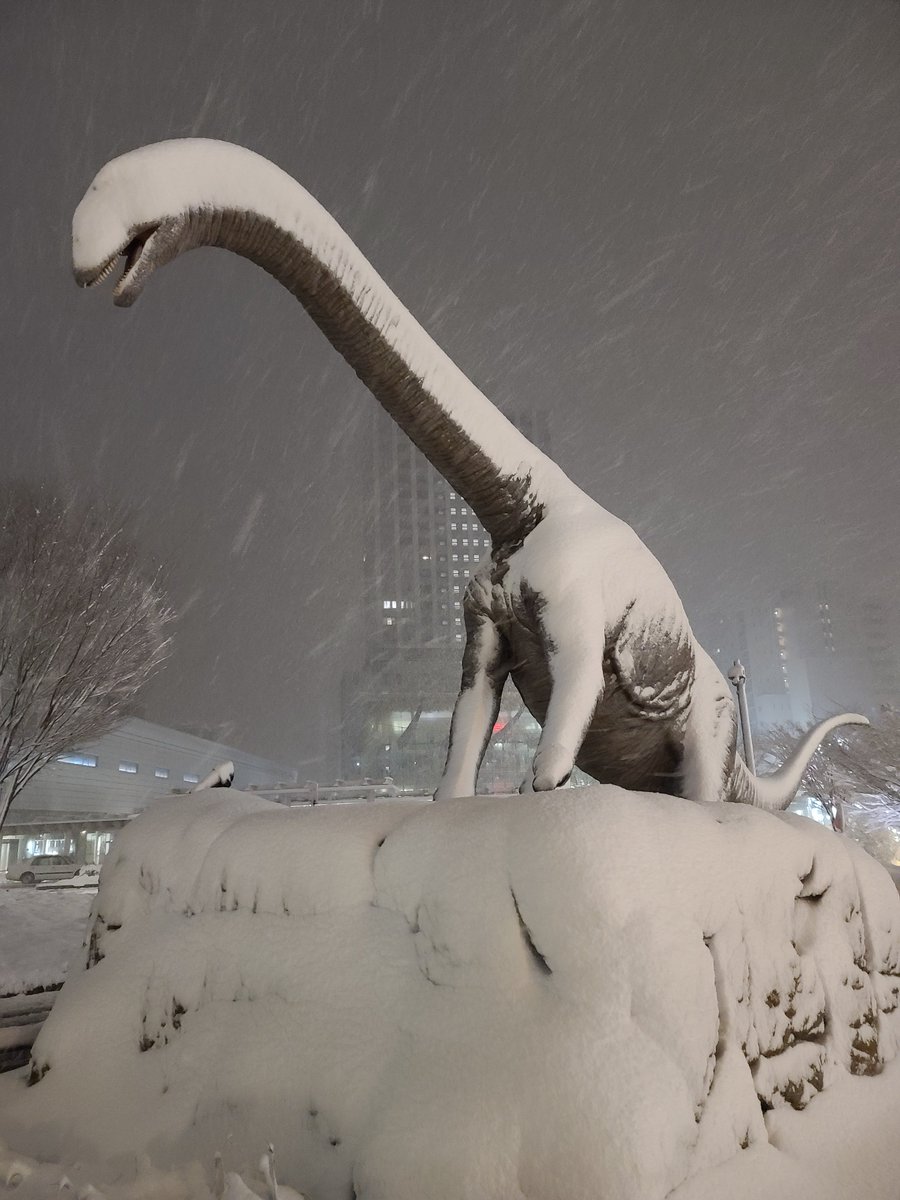 tomatoer's tweet photo. 今年のクリスマスは福井でLiellaちゃんのライブ見に行ってました。
雪すごくて福井駅前が氷河期だった。 https://t.co/2HQdJdb2Rw