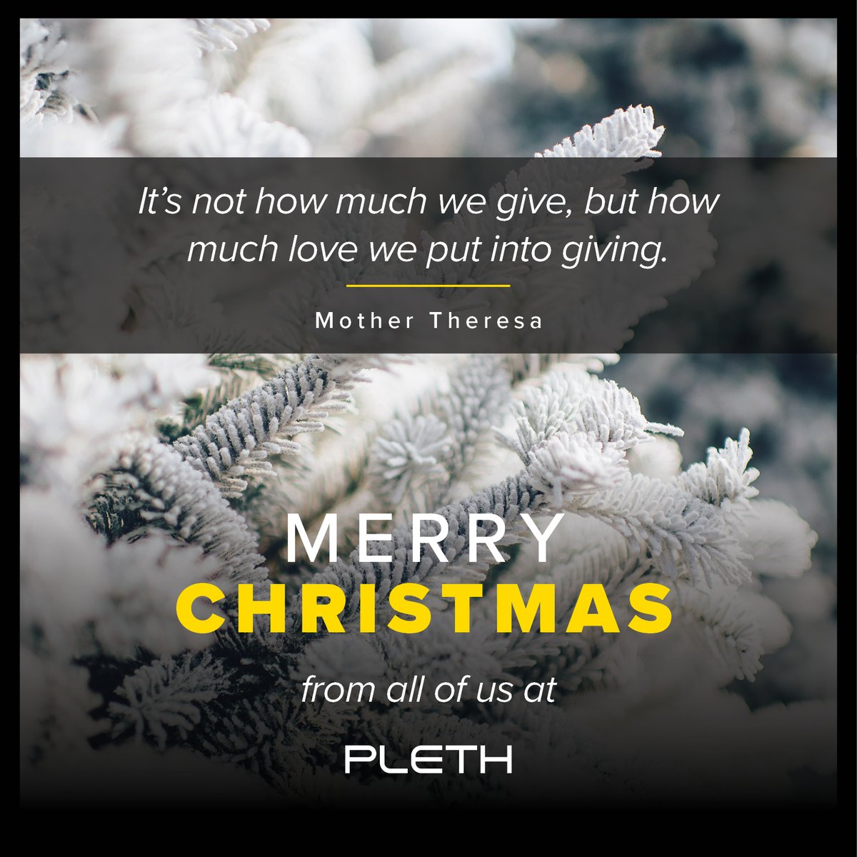 Pleth, LLC tweet media