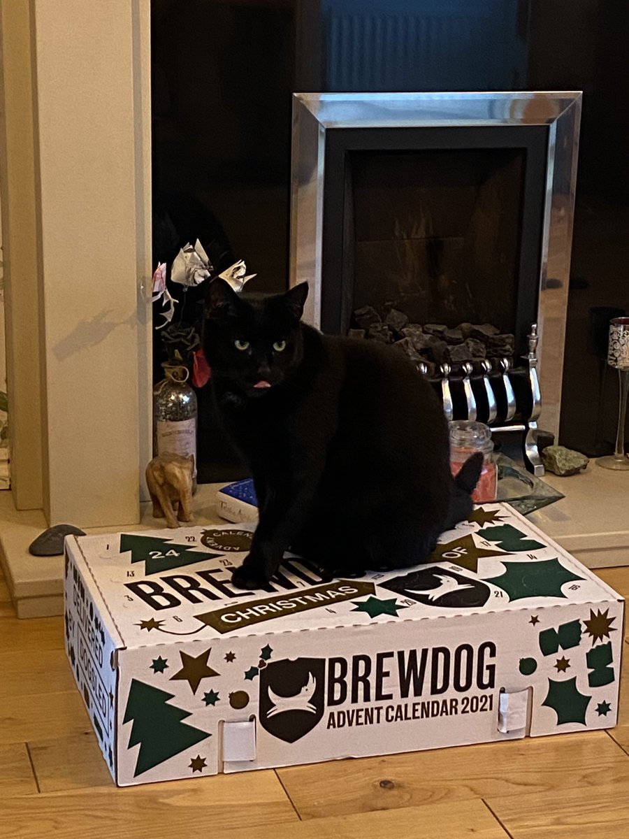thomodbt's tweet photo. Merry Christmas @BrewDog from #brewcat Such a brilliant advent calendar bought for me. Great beers, I absolutely loved it. Didn’t share any, especially not with the cat. Thank you! https://t.co/dGCRcawVsp