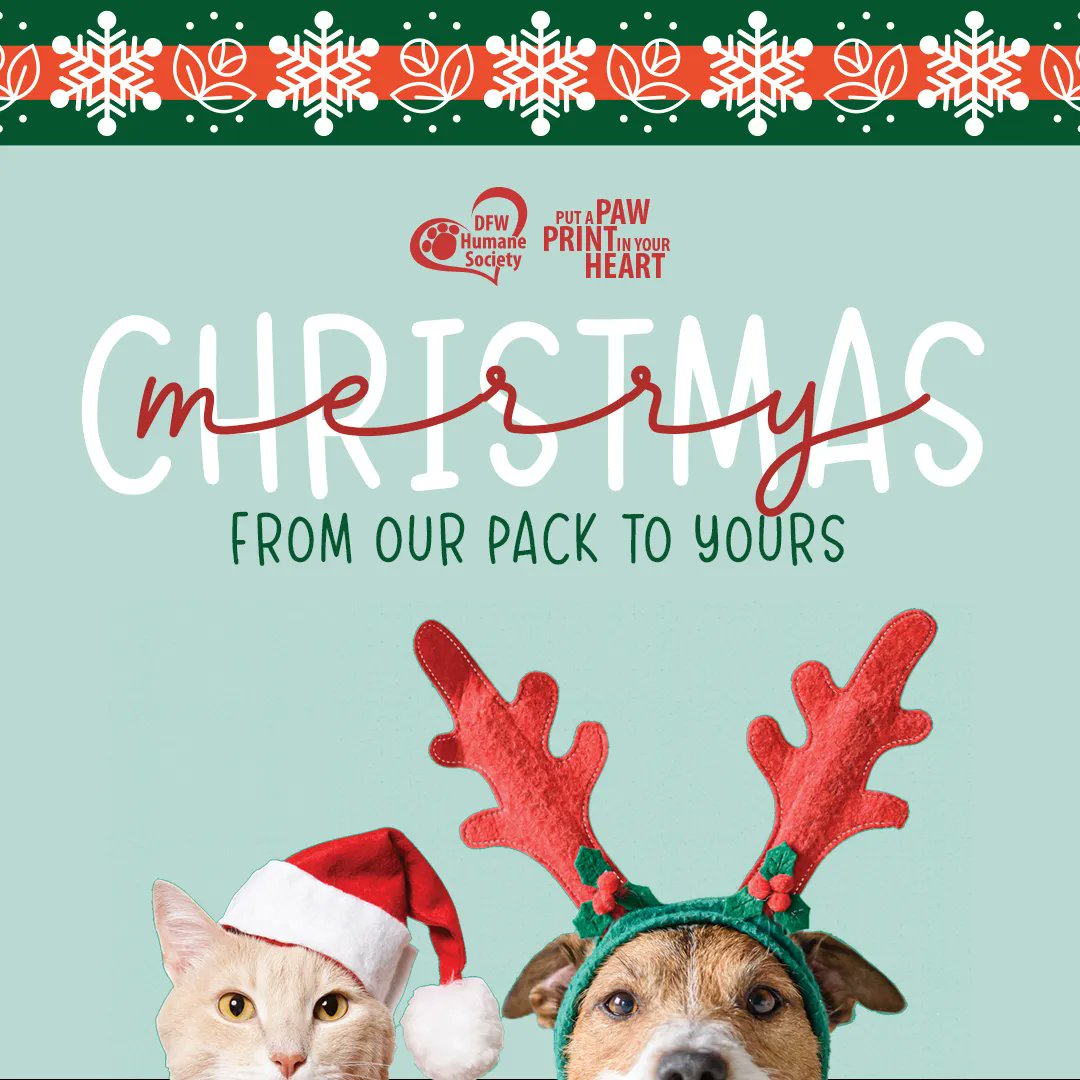 DFW Humane Society tweet media