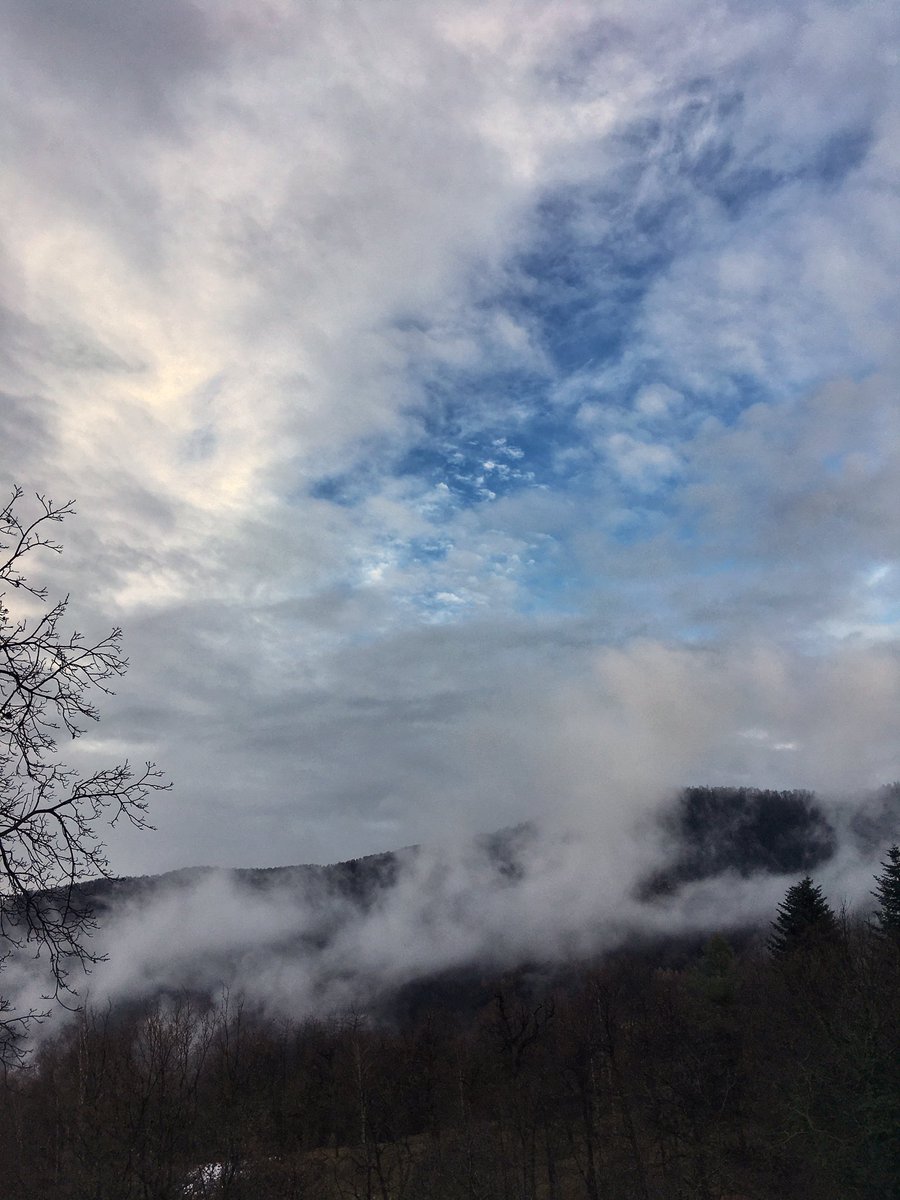 Quiete pomeridiana 
#BuonNatale #vallevaraita #facciamosiesta